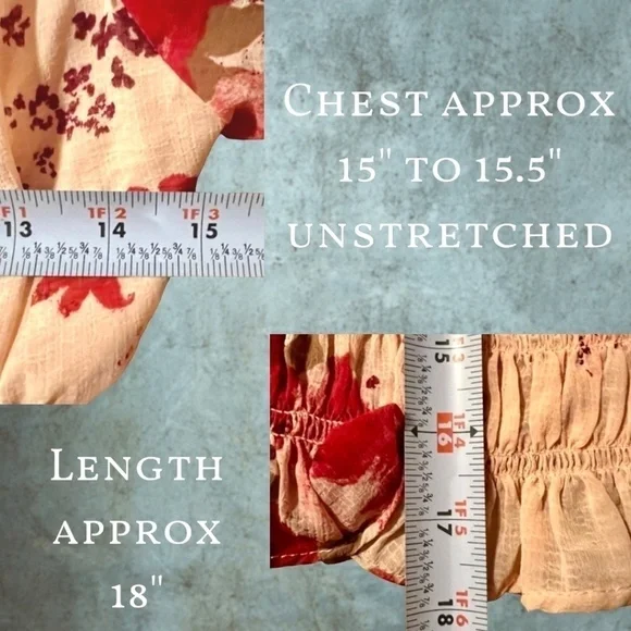 FREE PEOPLE Daphne Rose/Floral Long Sleeve Sheer Lace Ruched Blouse-Sm NWT - Picture 16 of 16